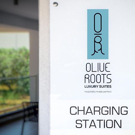ホテル Olive Roots Skala Rachoni  エクステリア 写真
